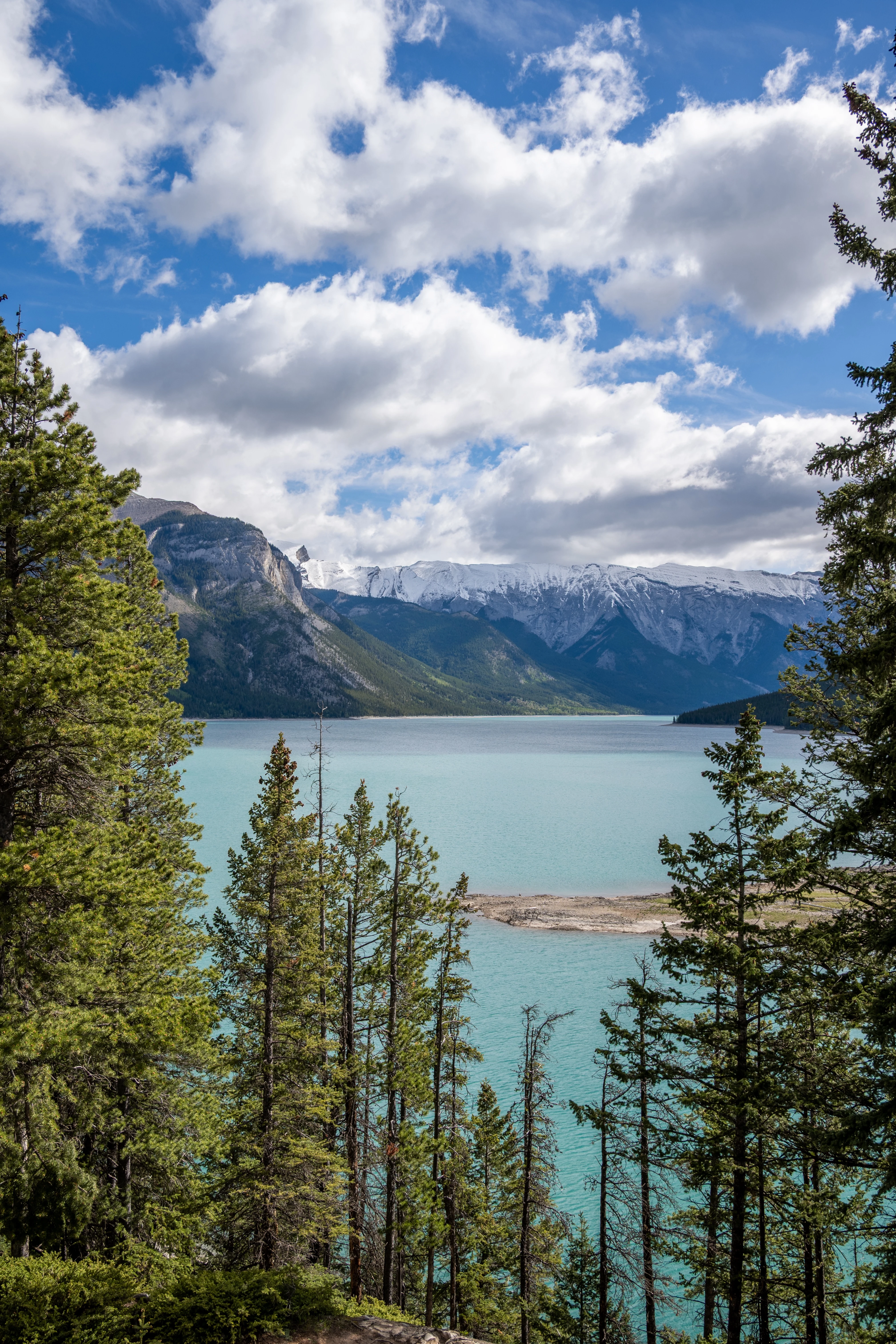 ���ɽ�Ѷ���������①�����䲻�ࡤ���Ѷ��ɳǱ� ����ͷ� Fairmont Gold Banff Springs