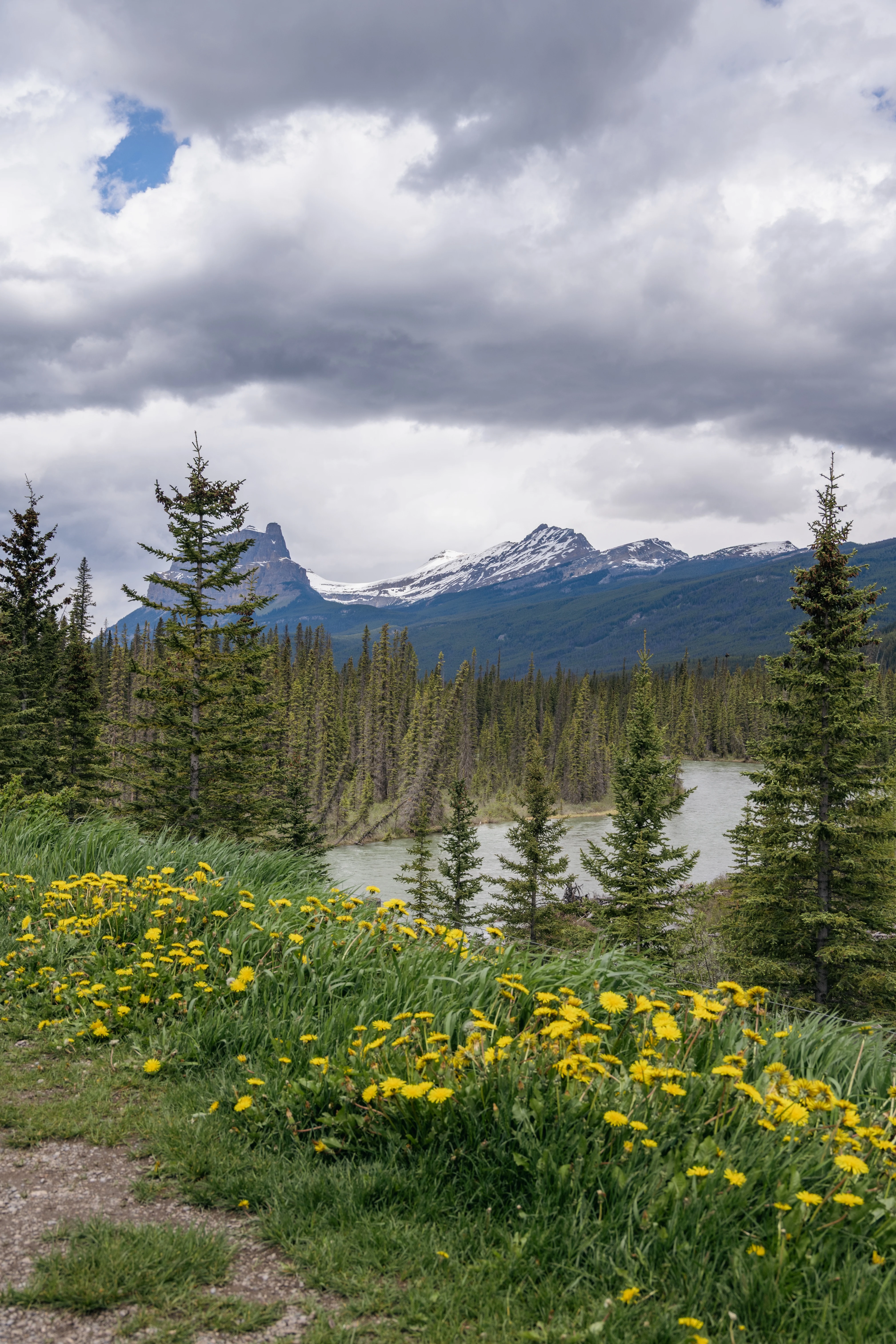 ���ɽ�Ѷ���������①�����䲻�ࡤ���Ѷ��ɳǱ� ����ͷ� Fairmont Gold Banff Springs
