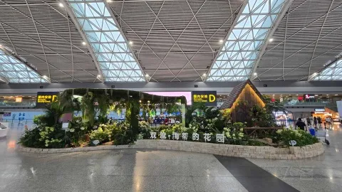 ����������������� | CA4539 �ɶ�˫��-���Ÿ��� ���б���