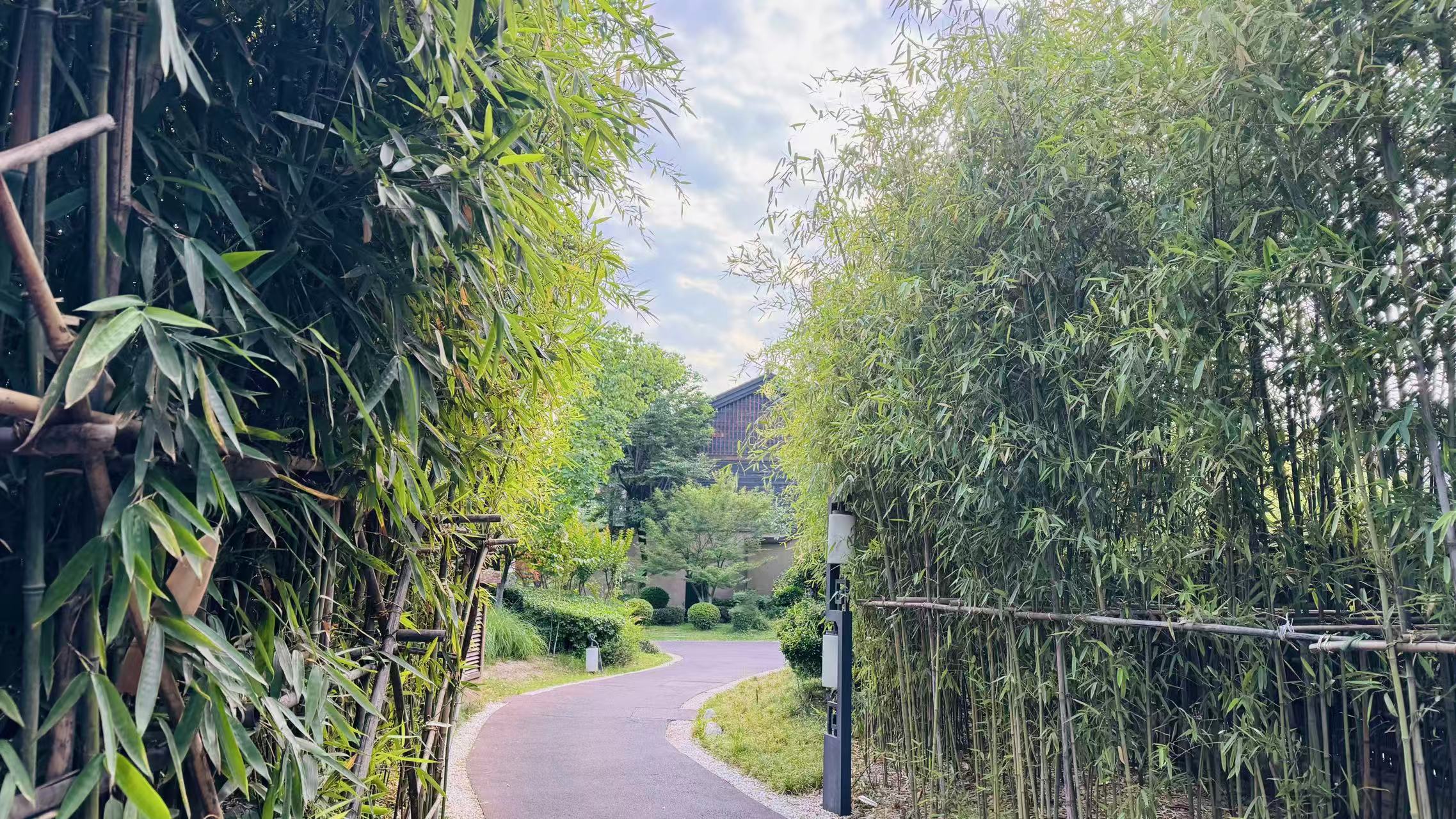 ס����ʫ������������������ʫ���ﻨ���á���¹��ס����