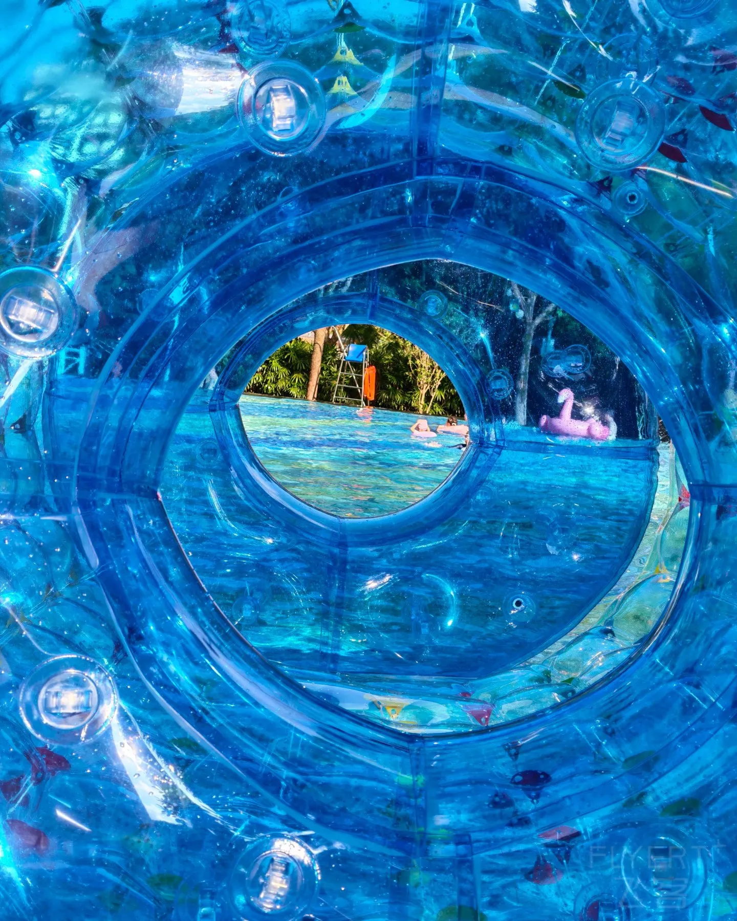 130754lR40CgblqRuZoPJg.jpg