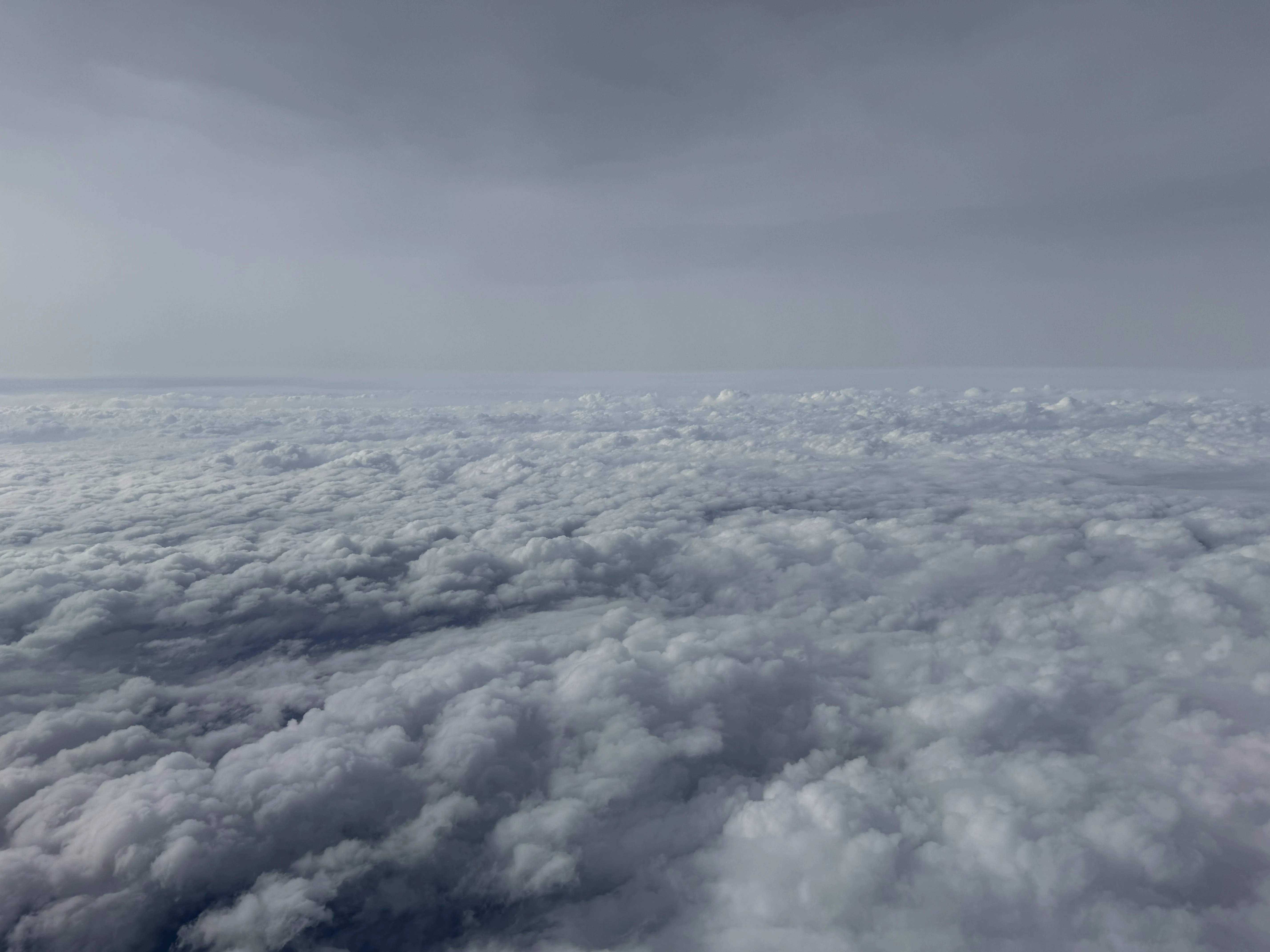 �Ա�����������ͷ�Ȳգ���������DL2109 LGA-IAH A220-300ͷ�Ȳ�����