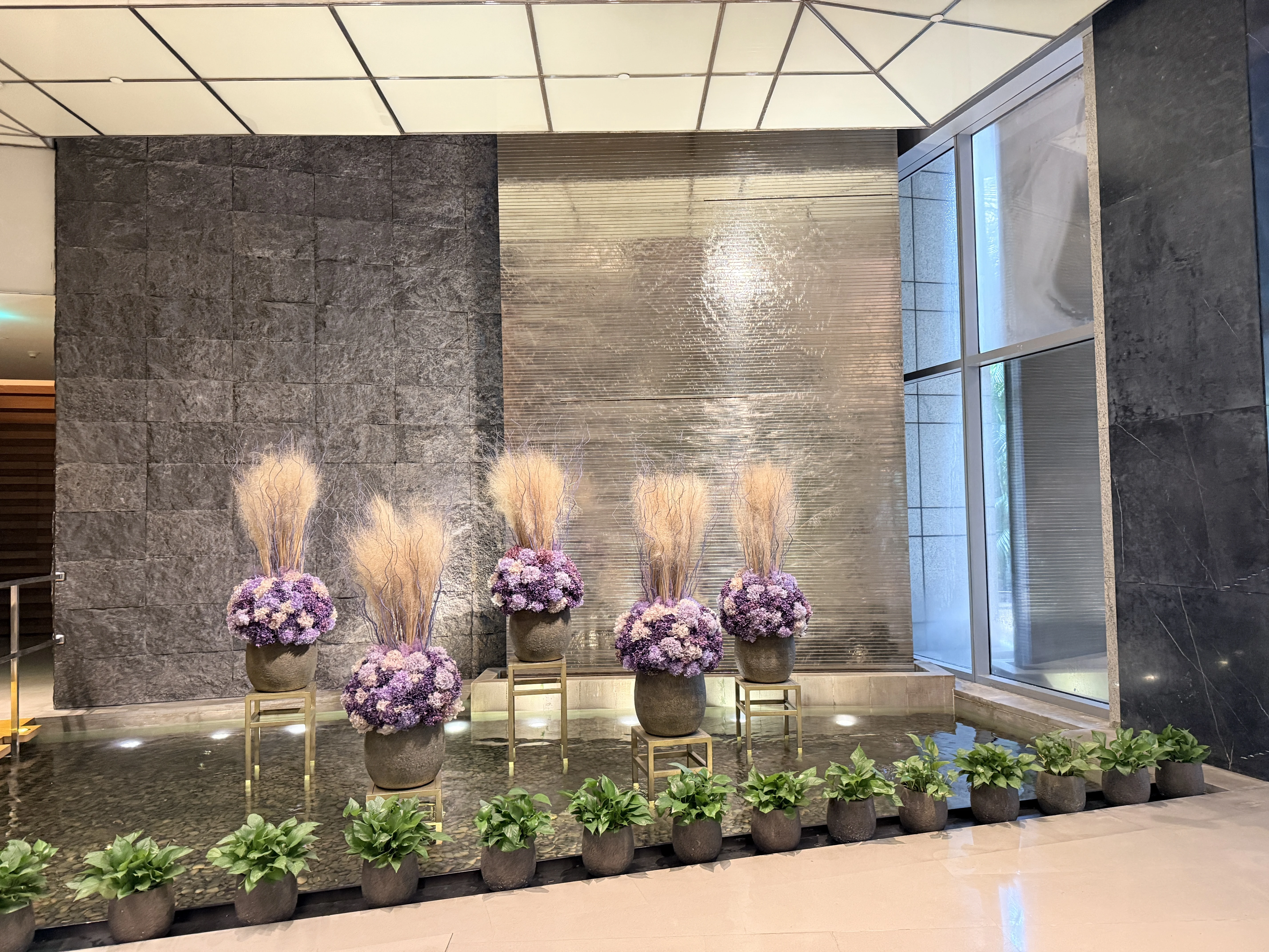 �V�ݸ��������Ƶ�����׷���ס�w�