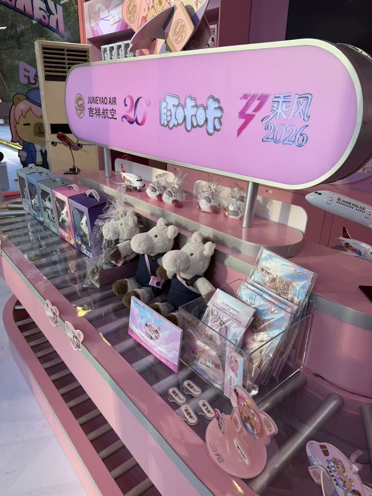 #���麽��20����#HO2006→HO2026�����Ͼ���·�ķ�ɫ������Ҷ������Լ��Ķ�ʮ��