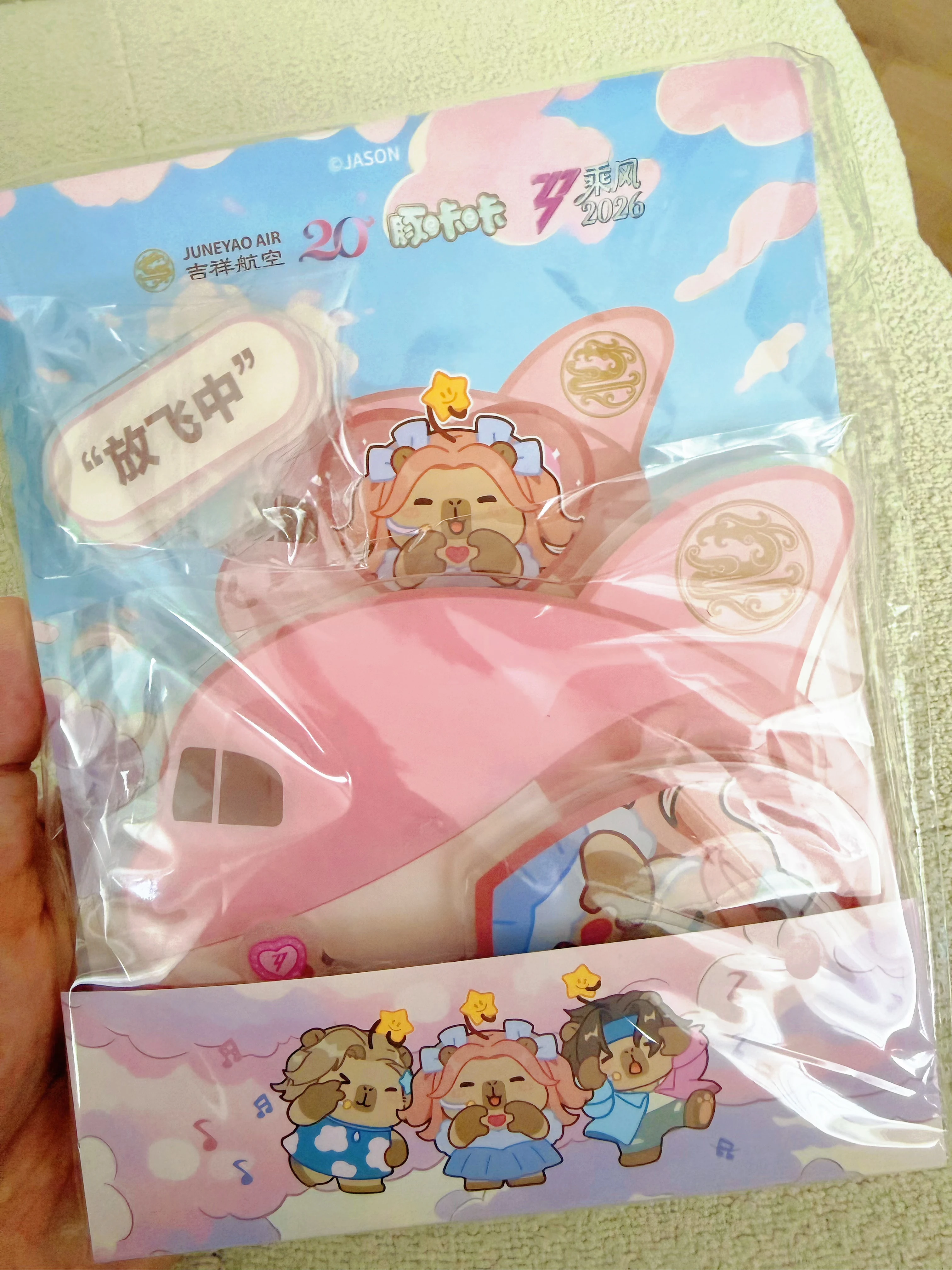 #���麽��20����#HO2006→HO2026�����Ͼ���·�ķ�ɫ������Ҷ������Լ��Ķ�ʮ��