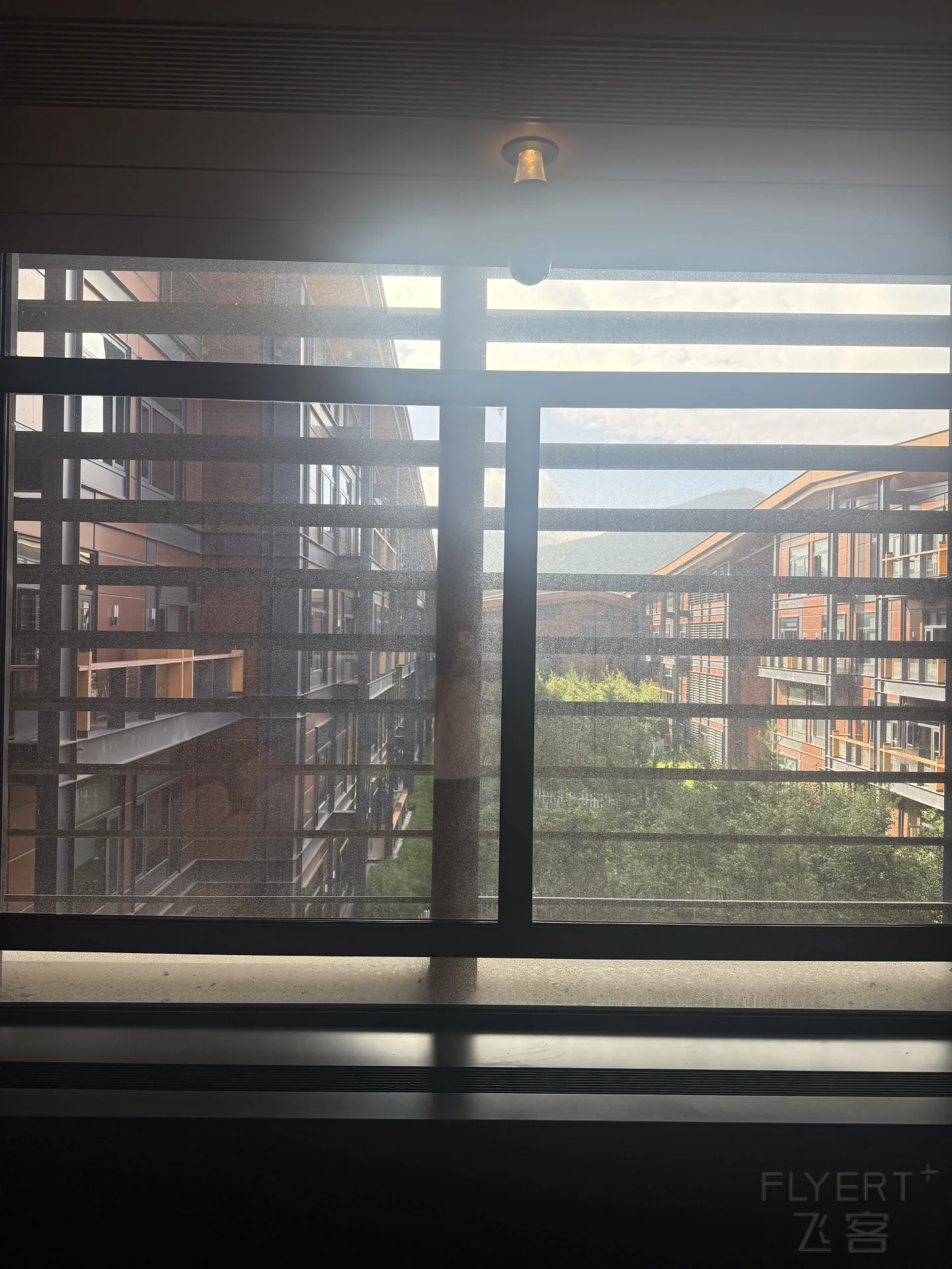 143031FDUDRWHXZONWVXZK.jpg