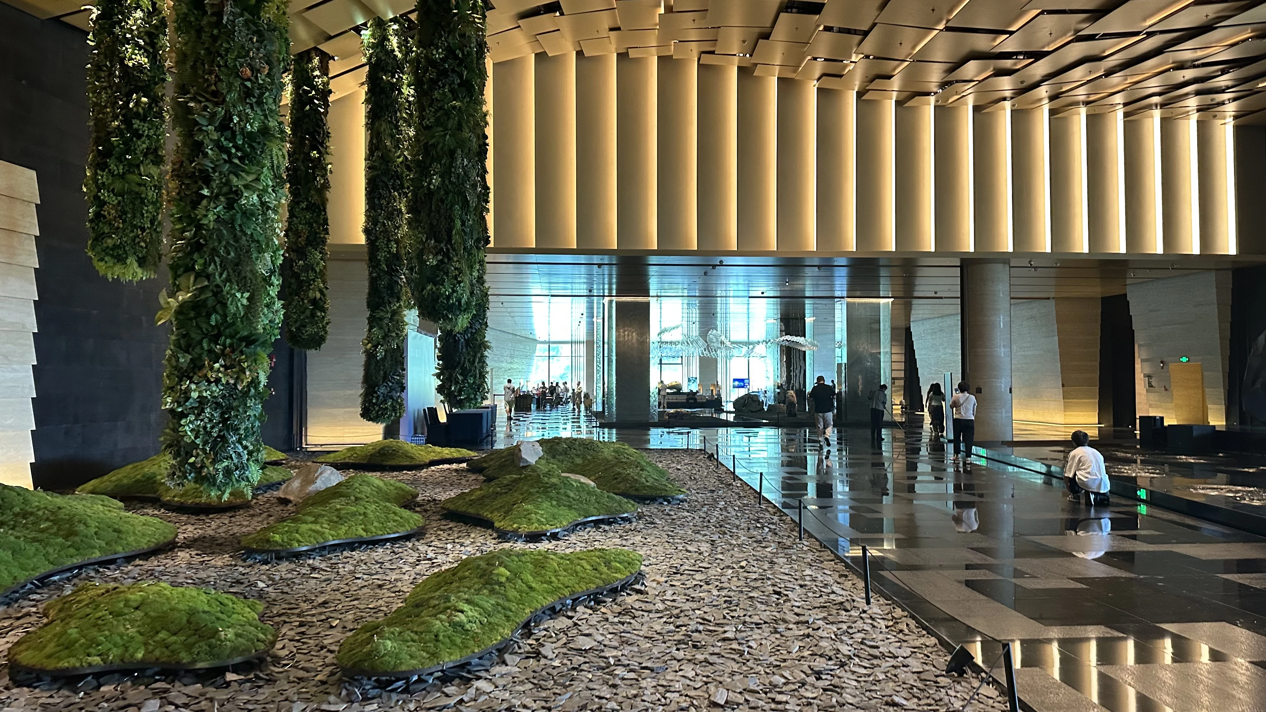 ɽ��ţ��ɽ�������Ͼ���-�Ͼ�ţ��ɽϣ���پƵ�