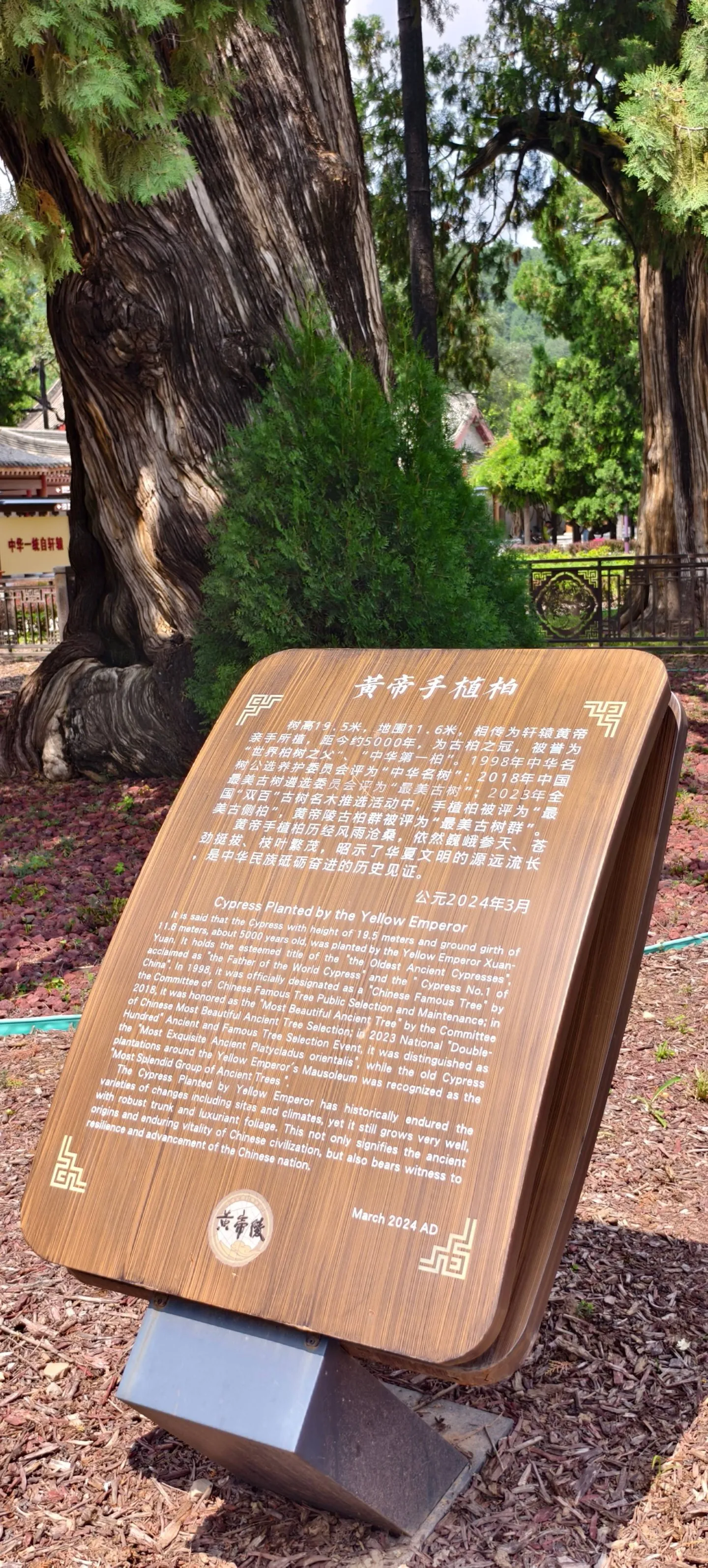 163951HFM19cVdMYvLnP5h.jpg