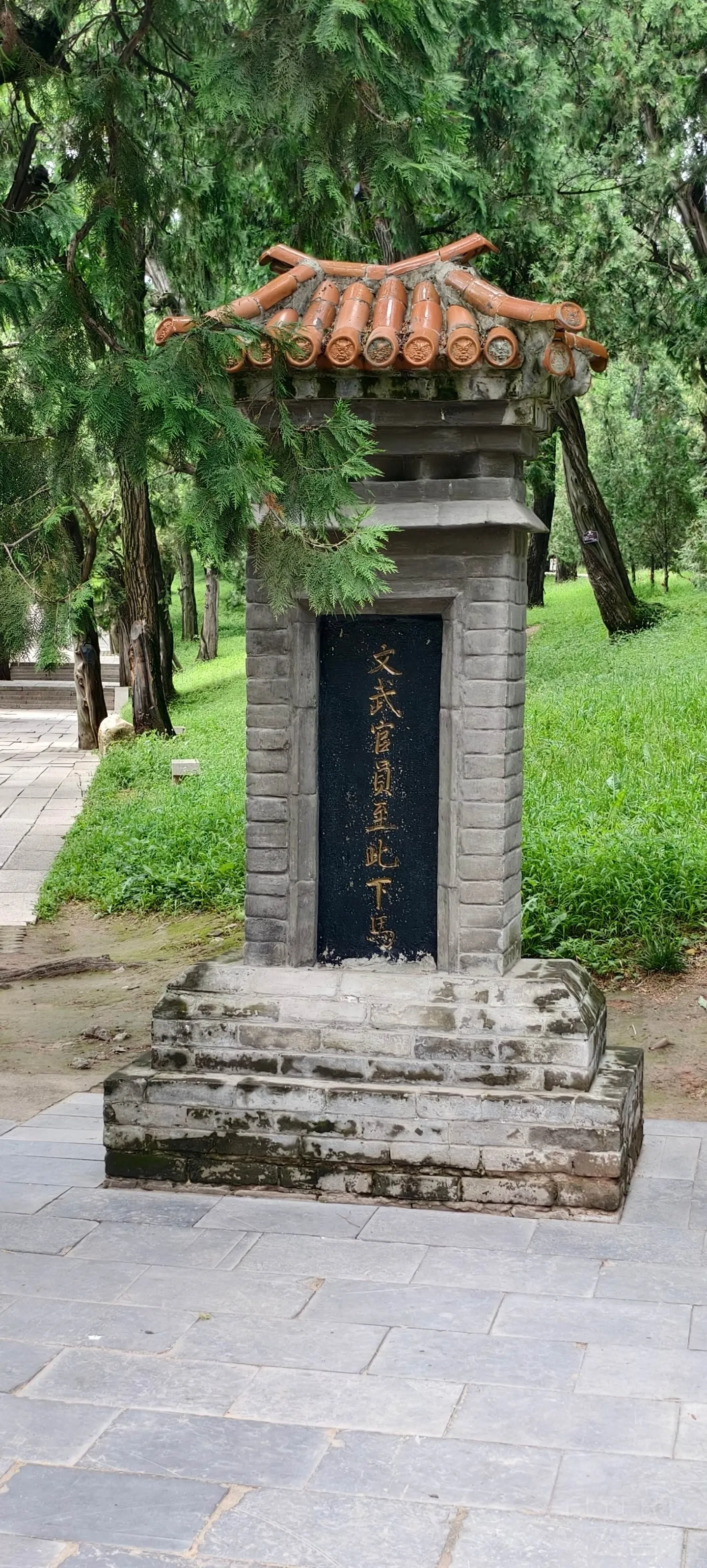 163951dIMFjUmhf6lSsqhD.jpg