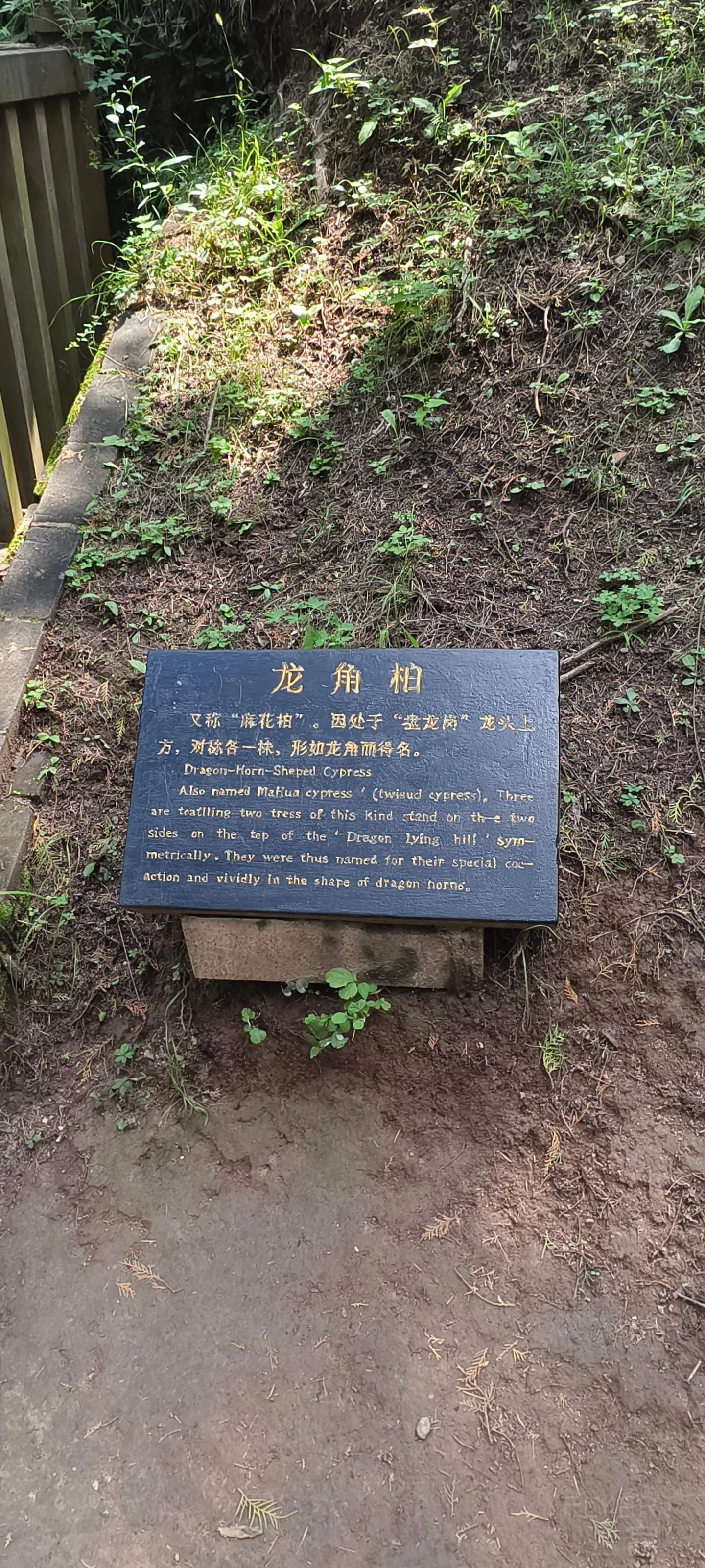 163951qTWJ60AF3XyoPdzW.jpg