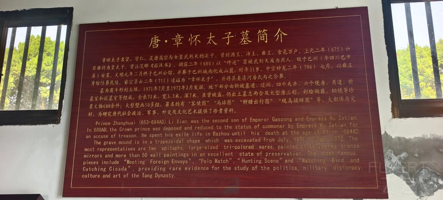 165033cTqzL3QXosxzr4VG.jpg