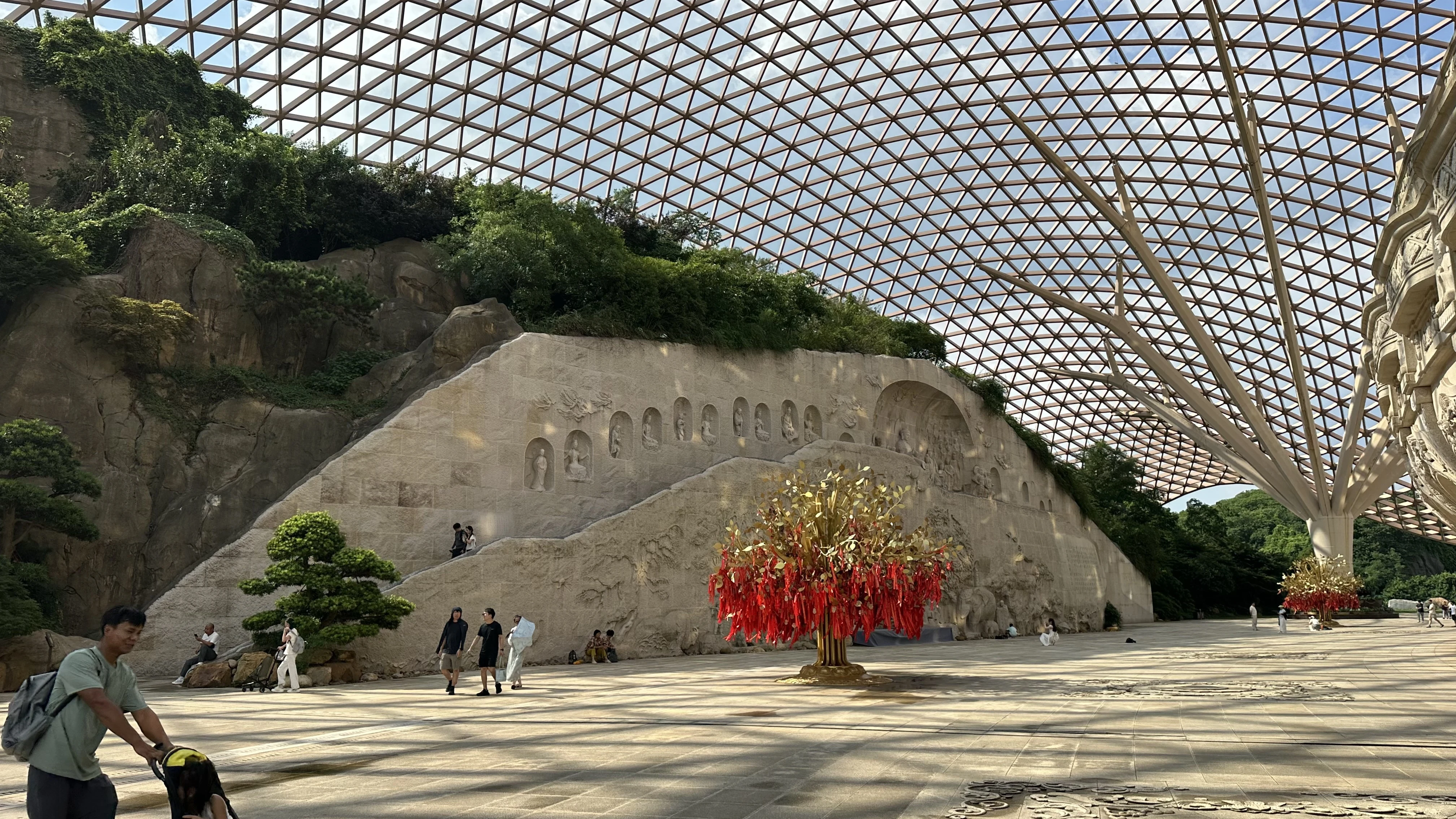 ɽ��ţ��ɽ�������Ͼ���-�Ͼ�ţ��ɽϣ���پƵ�