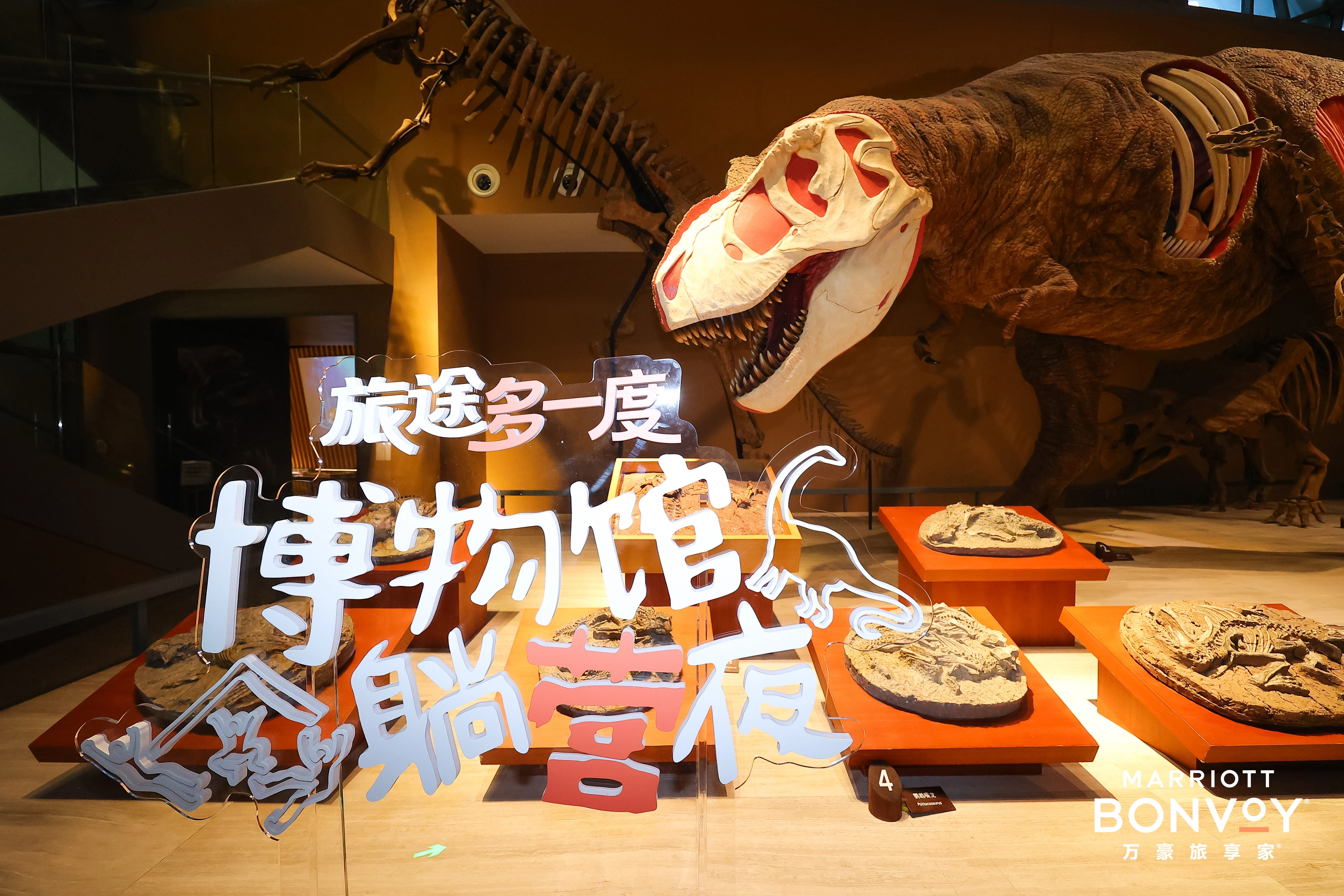 �������Ӫ����ҹ�����Ϊ���׼����һ�����޴���