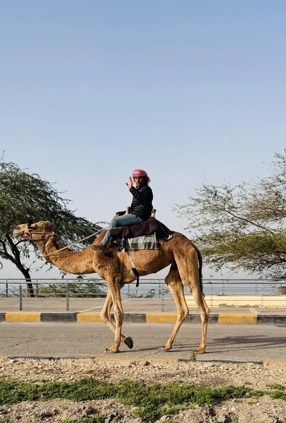 ����ϣ����ˮ�ƶȼپƵ�Hilton Dead Sea Resort & Spa����������һ�����׷�����