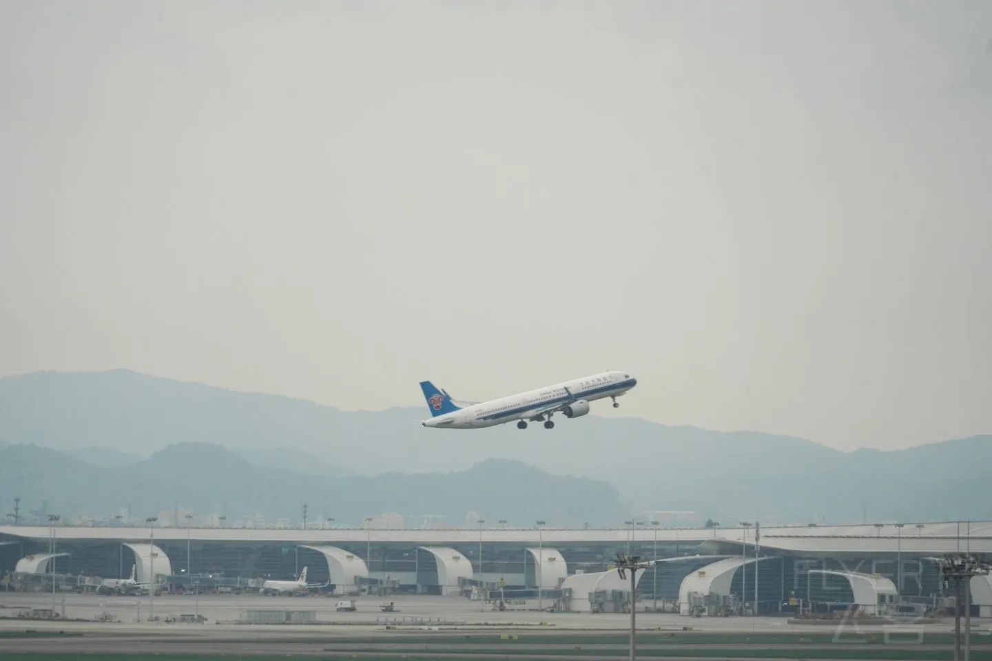 DSC08681.JPG