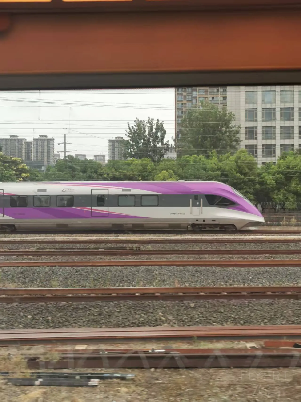 寰俊鍥剧墖_20260820153949_170_4.jpg 寰俊鍥剧墖_20260820153949_170_4.jpg