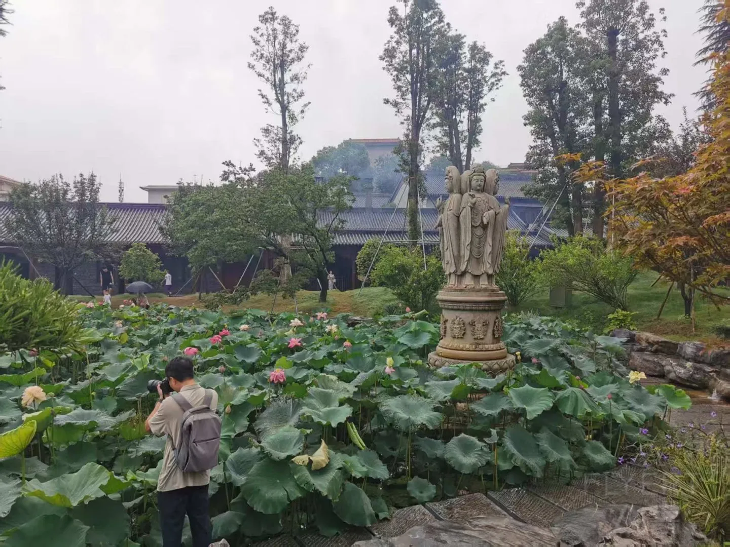 寰俊鍥剧墖_20260814163621_133_4.jpg 寰俊鍥剧墖_20260814163621_133_4.jpg
