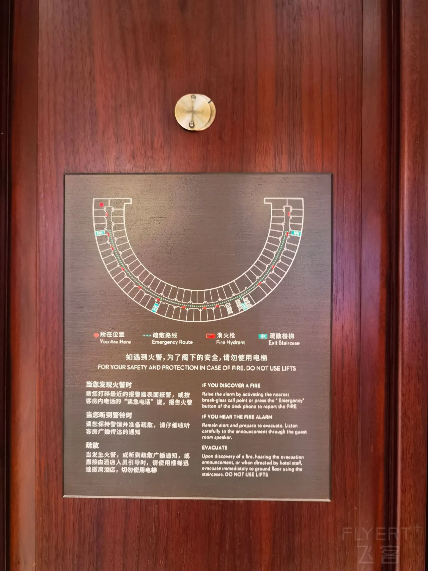 215259P5pcpvgNdATC9jDy.jpg