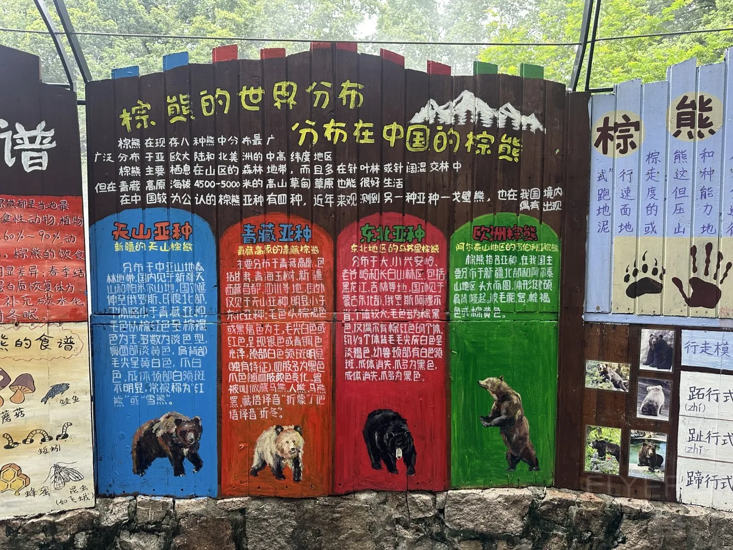 211615WJOCNVPJJLQHMGHA.jpg