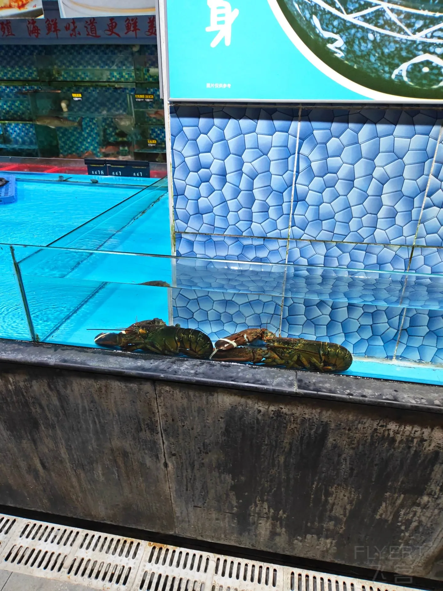 154001gU2APwJ3vN0p1DUB.jpg