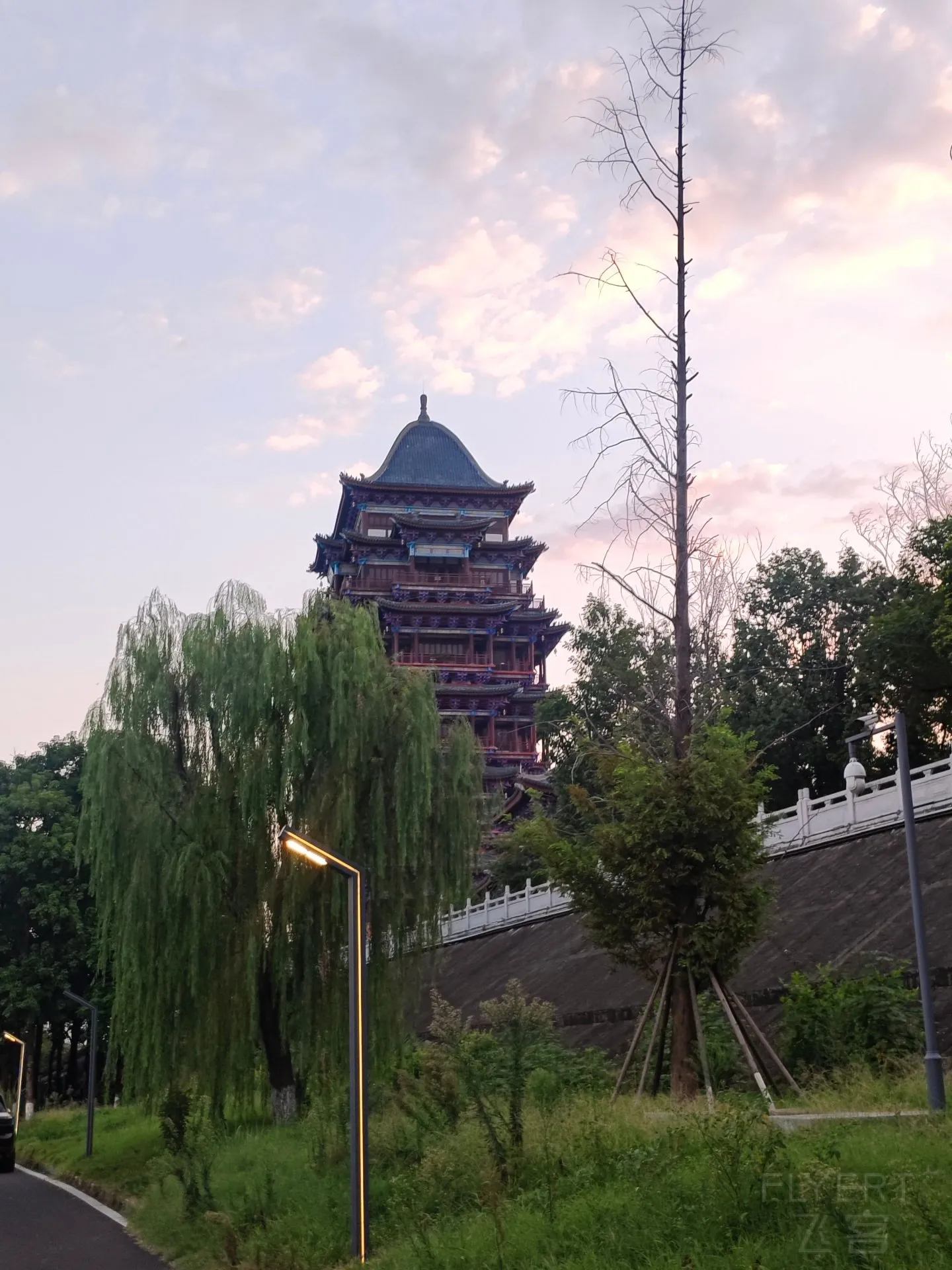 083223uLbPTPJfxqkT9mcY.jpg
