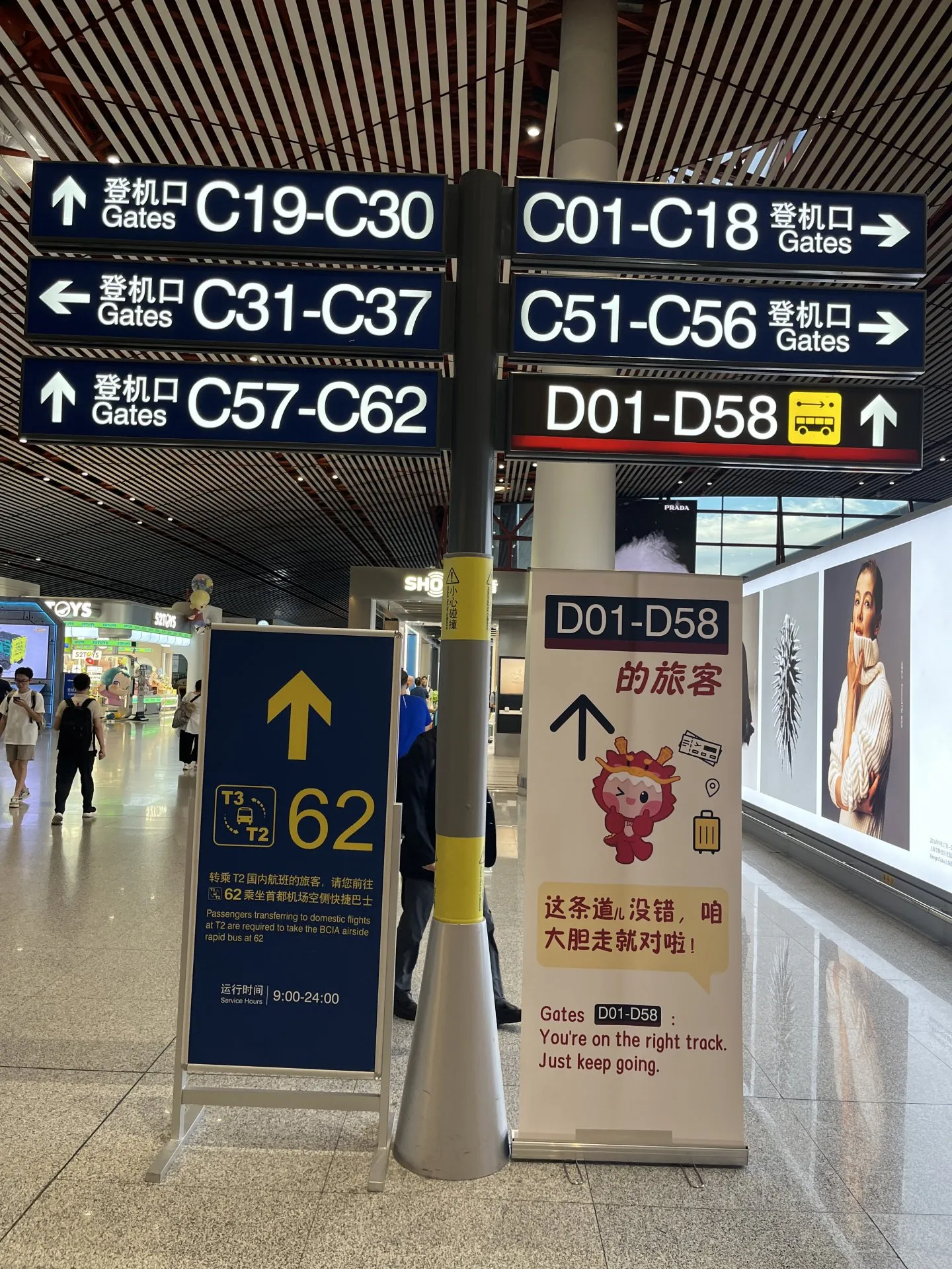 130921YMFZDEIYYNVYTONE.jpg