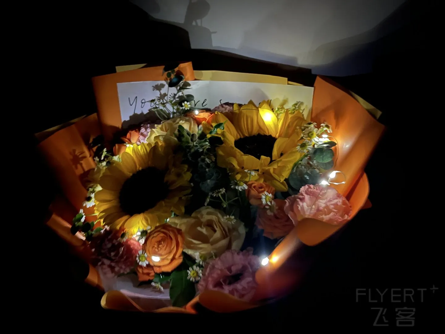131052JECAIPMRCYQILVNK.jpg