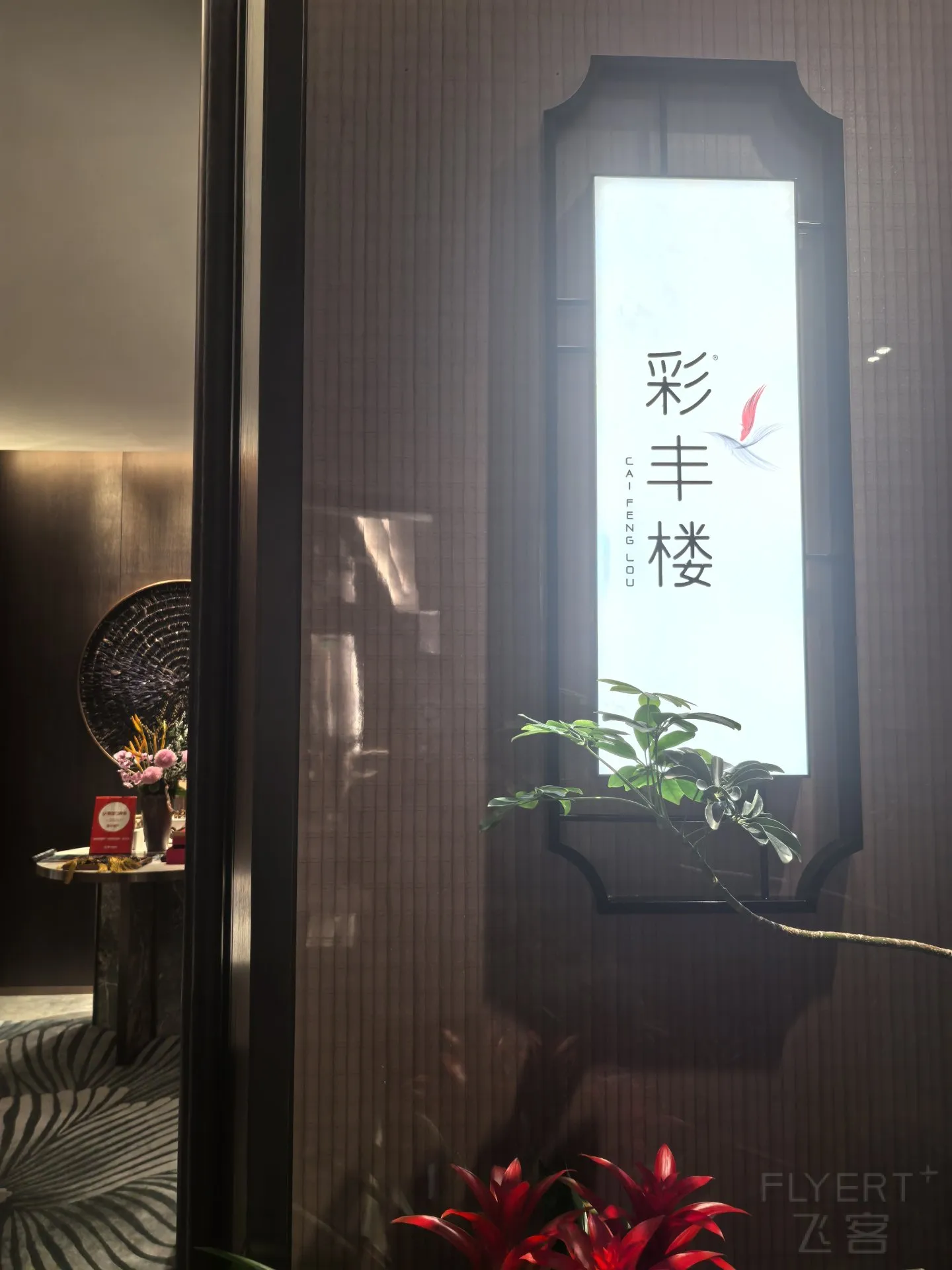 1402162A9NbTpVUAHhovVy.jpg