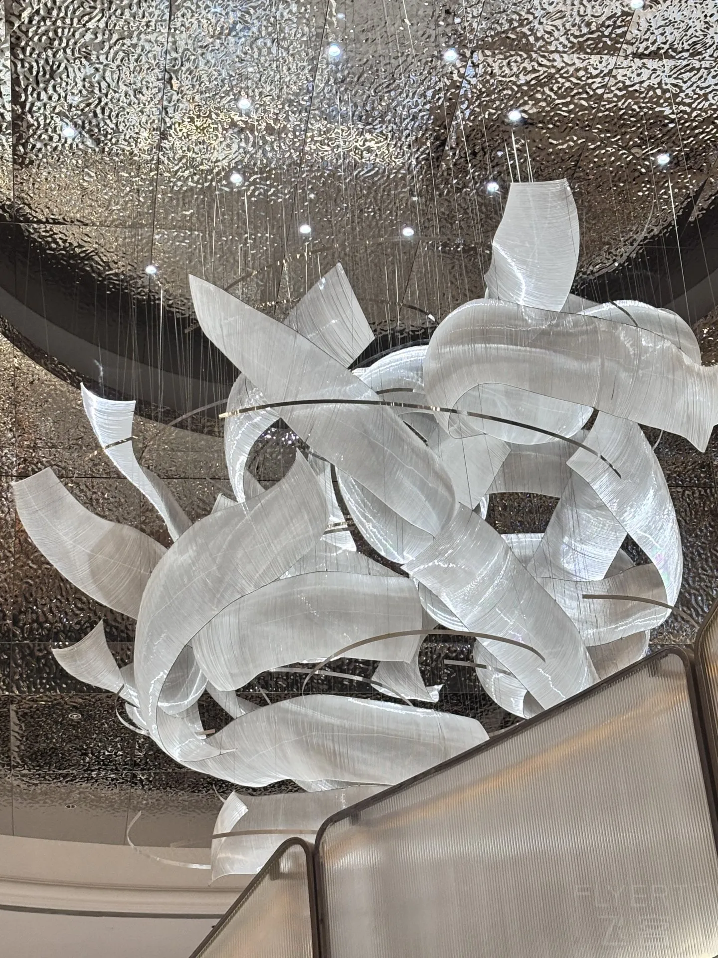 140942LPLHDLPNZQIGLTMX.jpg