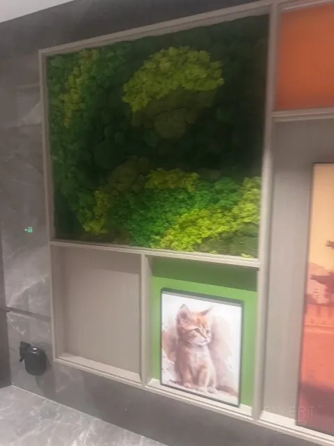�������ӵ�������¥����ϣ���ٻ�ͥ�Ƶ�