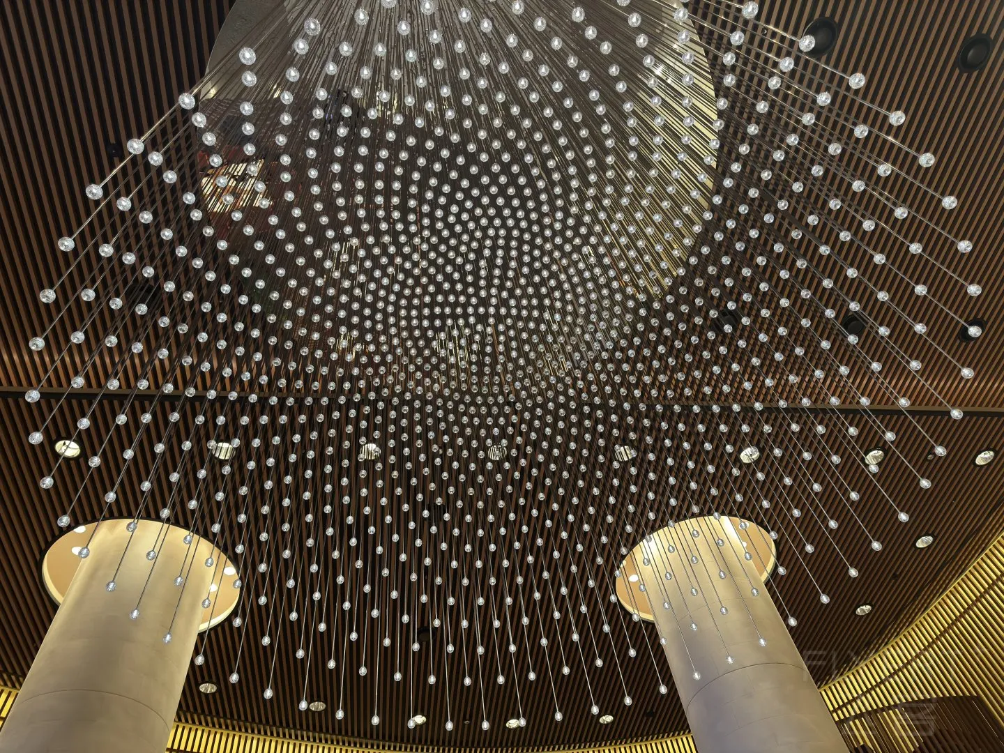 212507TAHIDFKDJIITOQZI.jpg