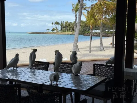 ʥ��Ⱥ���ĺ�������-�󱤽��������޼ʶȼٴ� ���Ժ���ͤ��