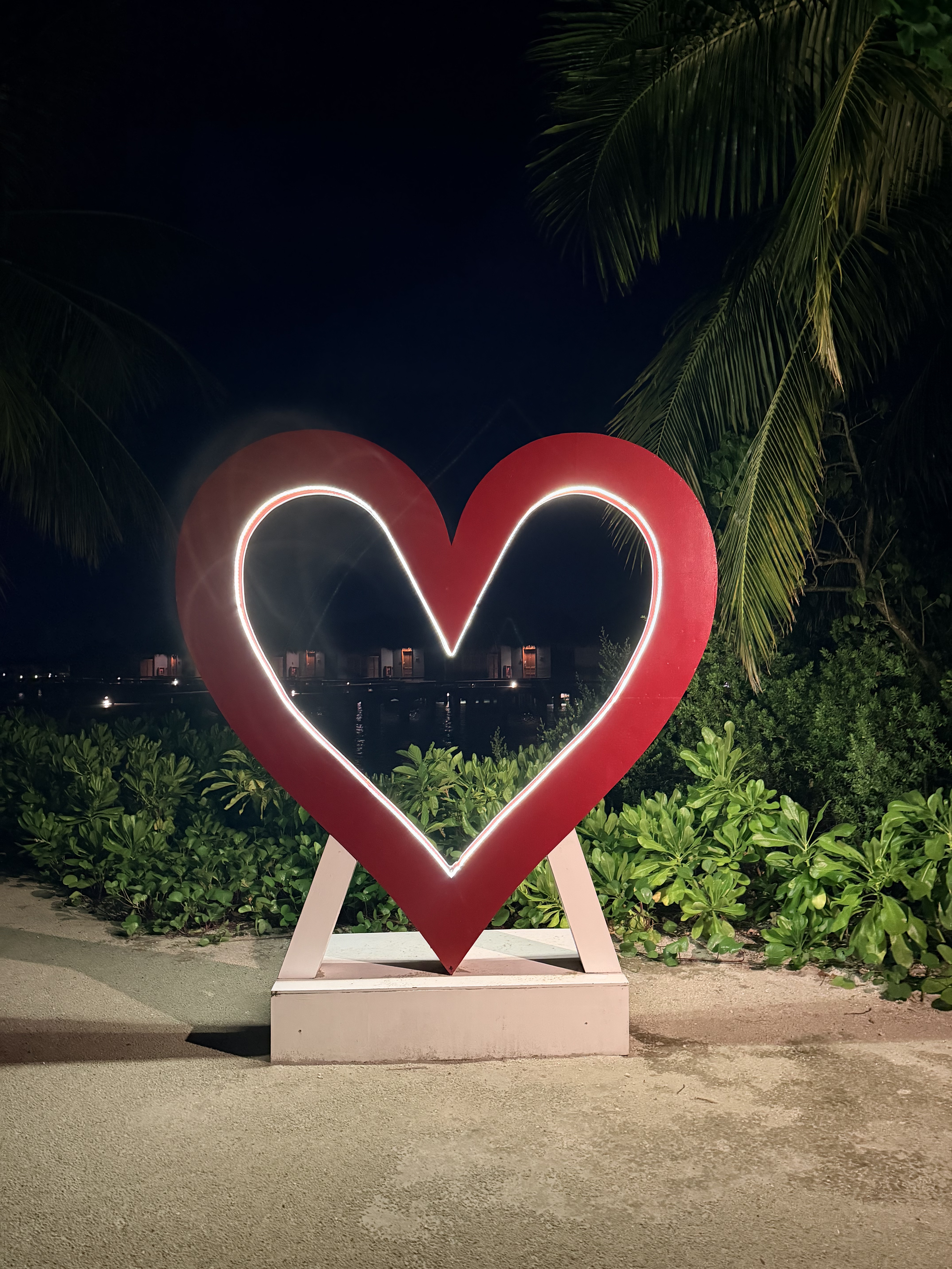�����������µ�ϲ����  - ��ҹ���ɣ�������ֱ��ˮ�ϱ�����������