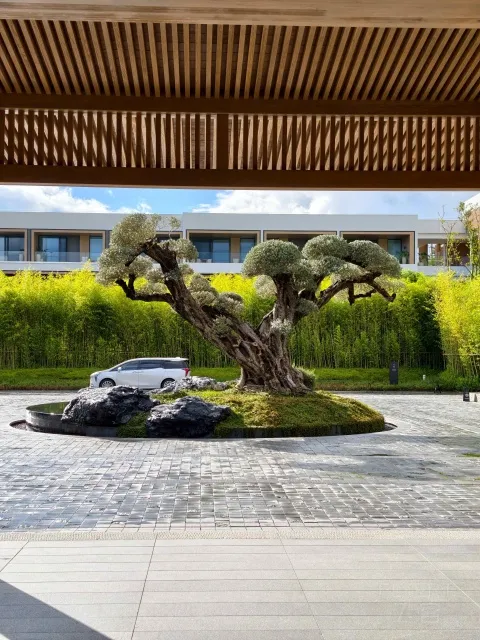 ��������ѷ��������ɽԶ����������һ�����շ���֮��