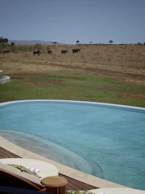 ������Safari��ȫ����Ritz-Carlton��ס����